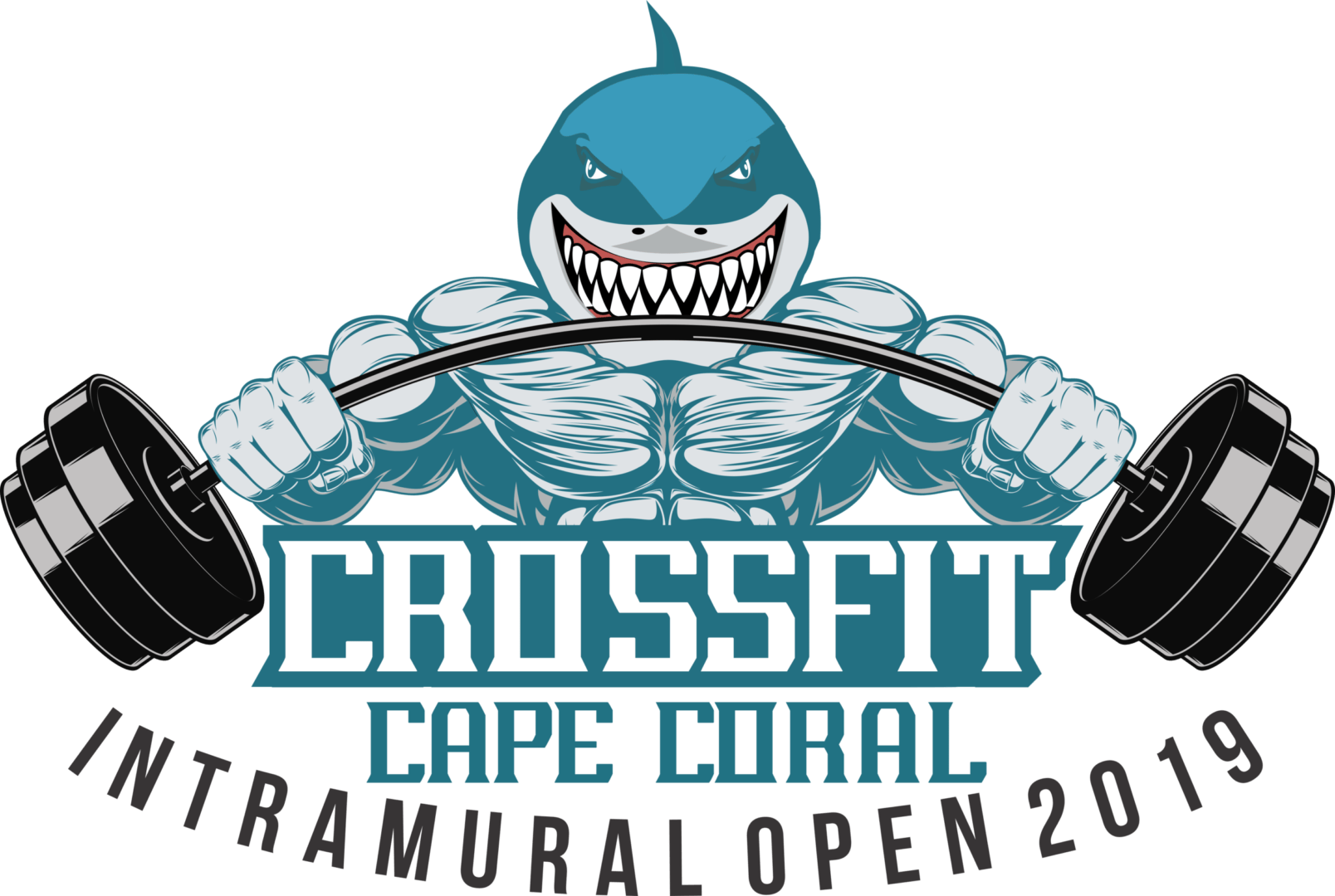 attachment-5c991f2971c10bf055d5eef1